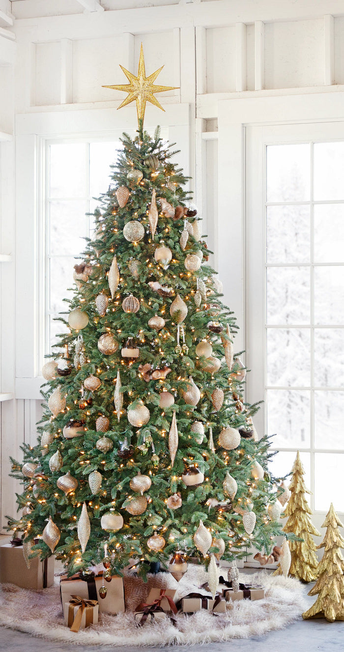 <h2>Black Friday Sale</h2>