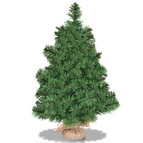 2ft Spruce Tree
