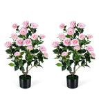 Pink / 2 Pack