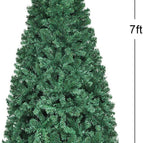 7 FT