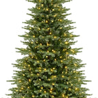 7 FT