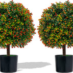 Boxwood Topiary Ball Tree