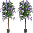 Purple / 2 pack