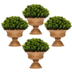 Green-pine Cone Shape