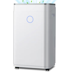 Collection image for: Dehumidifier