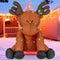 Christmas Decoration