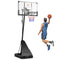 Ball Sports