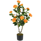 Orange / 1