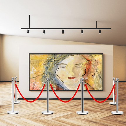 Goplus 6Pcs Stanchion Set, Round Top Polished Stainless Stanchions Posts Queue Pole - GoplusUS